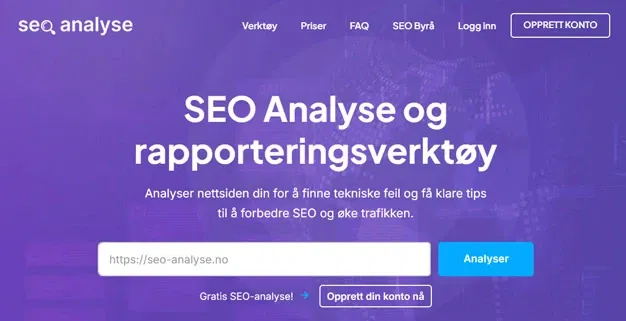 SEO Analyse